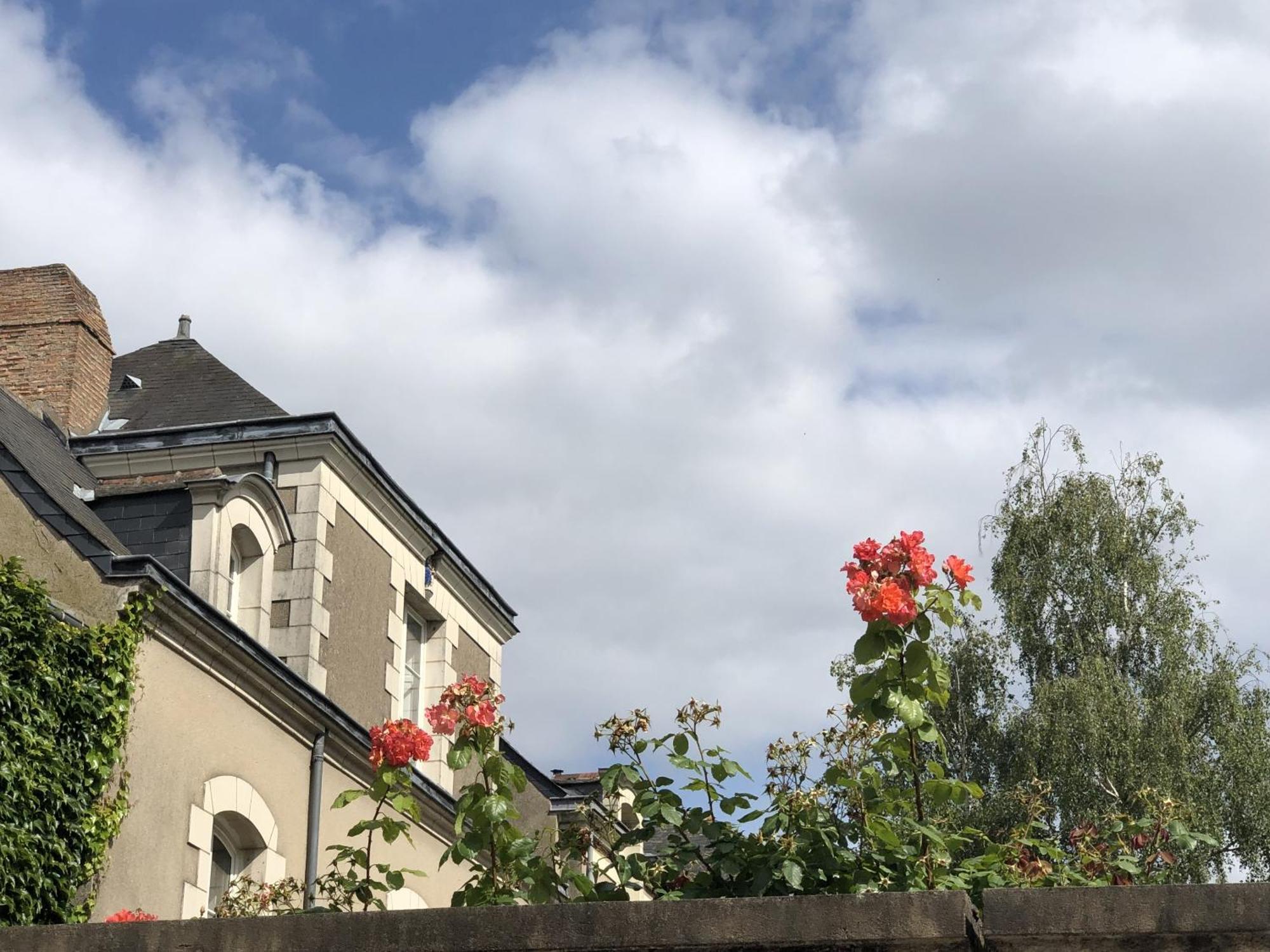 Maison Bout Du Monde Angers Hyper Centre Экстерьер фото